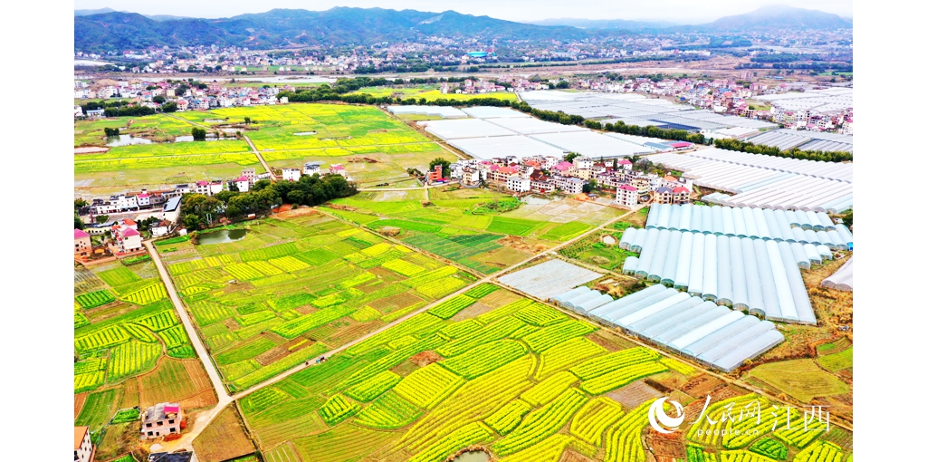 江西興國(guó)：早春田園美如畫(huà)