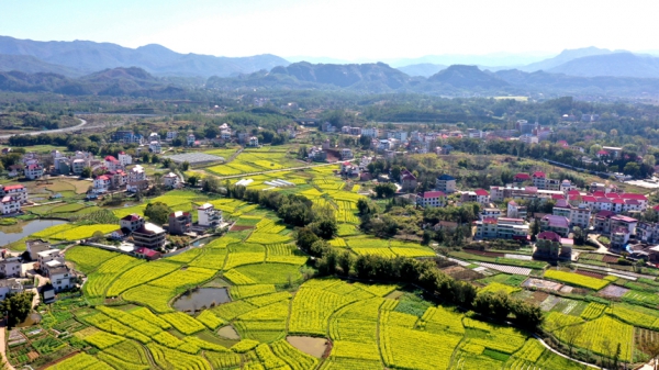 江西興國(guó)：春到村落景如畫