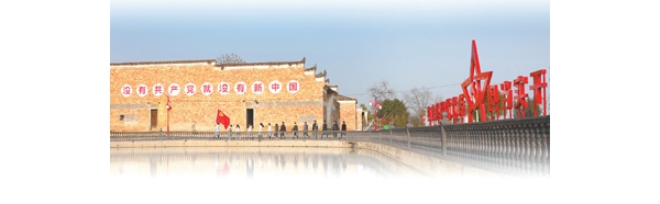 增強下層黨建 凝集成長協(xié)力（奮進新征程 立功新時期·巨大變更）